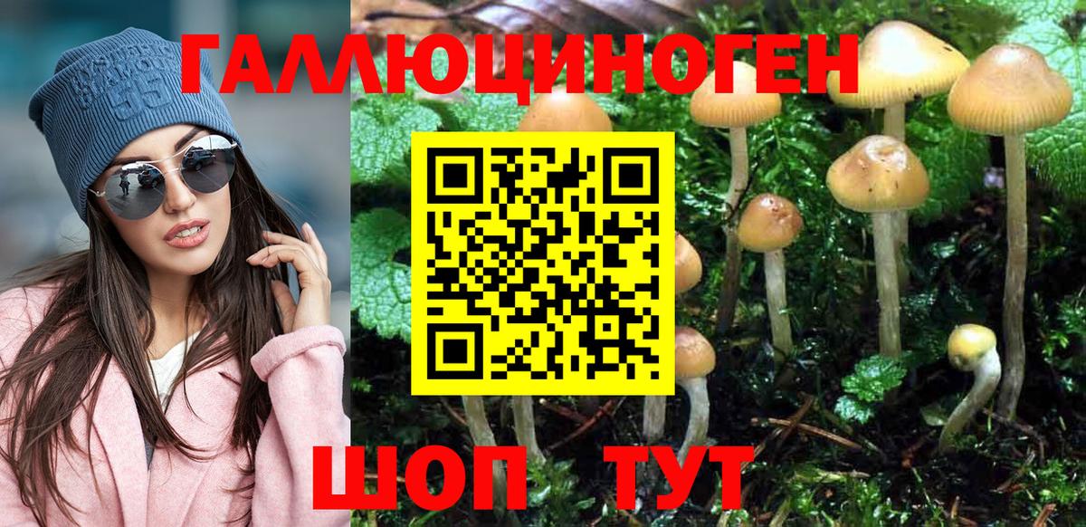 Галлюциногенные грибы мицелий  Псилоцибиновые грибы MAGIC MUSHROOMS  Вход с VPN  Семилуки 