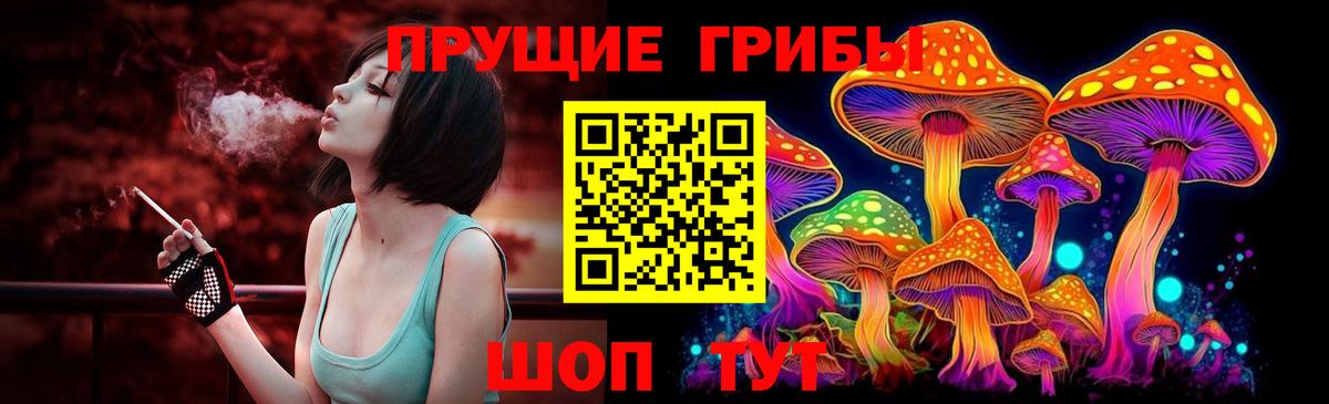 Псилоцибиновые грибы прущие грибы Семилуки